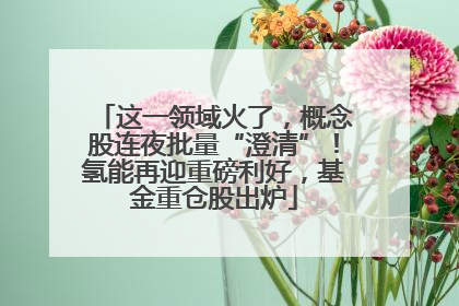 这一领域火了，概念股连夜批量“澄清”！氢能再迎重磅利好，基金重仓股出炉