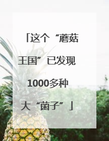这个“蘑菇王国”已发现1000多种大“菌子”