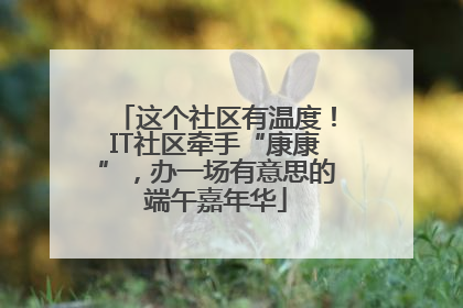 这个社区有温度！IT社区牵手“康康”，办一场有意思的端午嘉年华