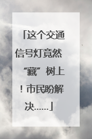 这个交通信号灯竟然“藏”树上！市民盼解决……
