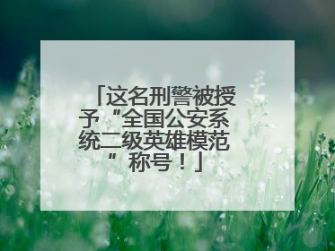 这名刑警被授予“全国公安系统二级英雄模范”称号！