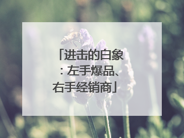 进击的白象：左手爆品、右手经销商