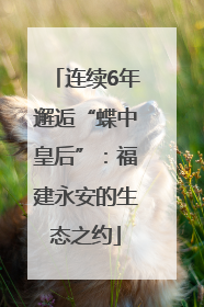 连续6年邂逅“蝶中皇后”：福建永安的生态之约