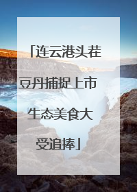 连云港头茬豆丹捕捉上市 生态美食大受追捧