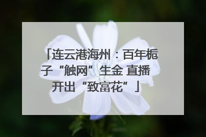 连云港海州：百年栀子“触网”生金 直播开出“致富花”