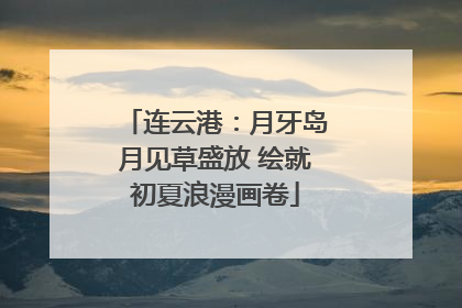 连云港：月牙岛月见草盛放 绘就初夏浪漫画卷