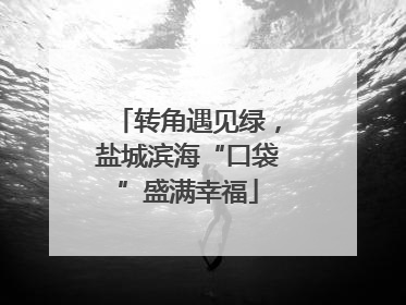 转角遇见绿，盐城滨海“口袋”盛满幸福