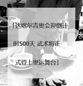 达喀尔青奥会迎倒计时500天 武术将正式登上奥运舞台
