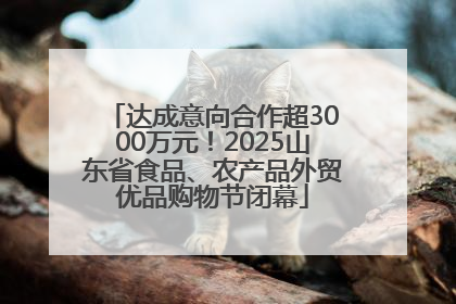 达成意向合作超3000万元！2025山东省食品、农产品外贸优品购物节闭幕