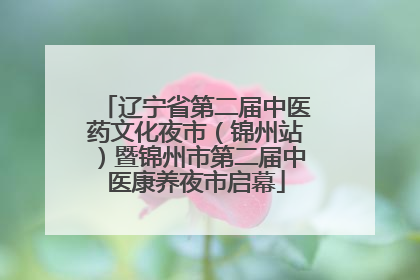 辽宁省第二届中医药文化夜市（锦州站）暨锦州市第二届中医康养夜市启幕