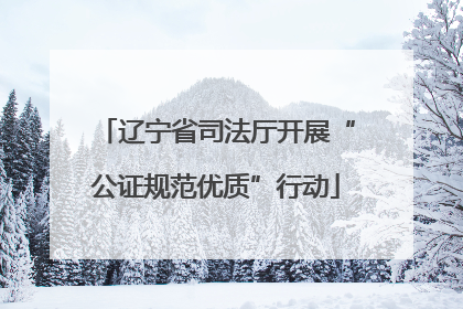 辽宁省司法厅开展“公证规范优质”行动