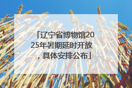 辽宁省博物馆2025年暑期延时开放，具体安排公布