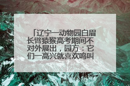 辽宁一动物园白眉长臂猿猴高考期间不对外展出，园方：它们一高兴就喜欢鸣叫，怕影响考试