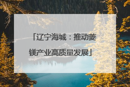 辽宁海城：推动菱镁产业高质量发展