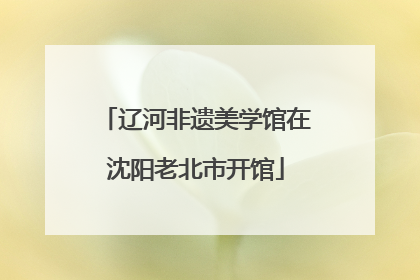 辽河非遗美学馆在沈阳老北市开馆