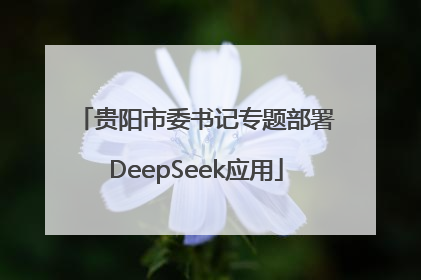 贵阳市委书记专题部署DeepSeek应用