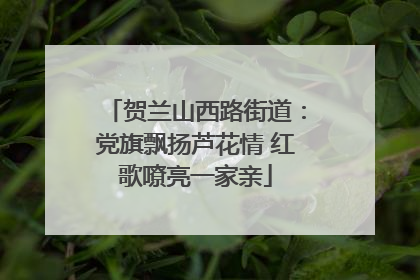 贺兰山西路街道：党旗飘扬芦花情 红歌嘹亮一家亲