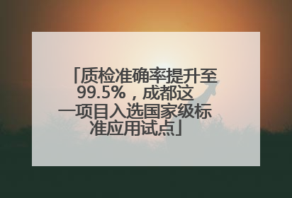 质检准确率提升至99.5%，成都这一项目入选国家级标准应用试点