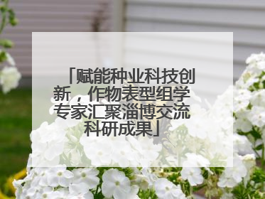 赋能种业科技创新，作物表型组学专家汇聚淄博交流科研成果