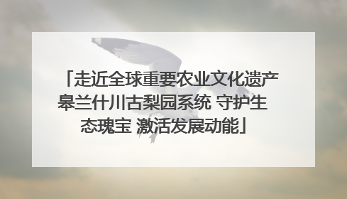 走近全球重要农业文化遗产皋兰什川古梨园系统 守护生态瑰宝 激活发展动能