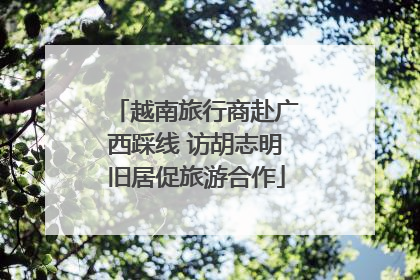 越南旅行商赴广西踩线 访胡志明旧居促旅游合作