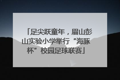 足尖跃童年，眉山彭山实验小学举行“海豚杯”校园足球联赛