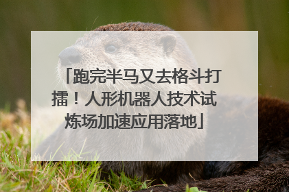 跑完半马又去格斗打擂！人形机器人技术试炼场加速应用落地