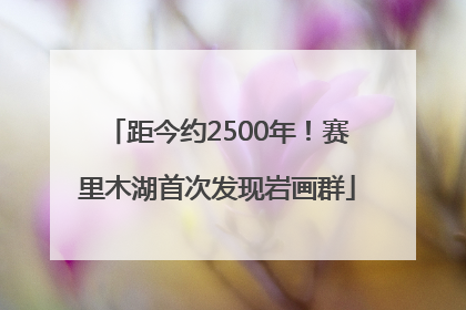距今约2500年！赛里木湖首次发现岩画群