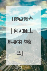 蹲点调查｜向沉睡土地要亩均收益
