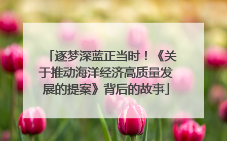 逐梦深蓝正当时！《关于推动海洋经济高质量发展的提案》背后的故事