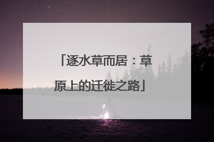 逐水草而居：草原上的迁徙之路