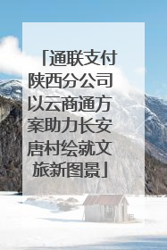通联支付陕西分公司以云商通方案助力长安唐村绘就文旅新图景