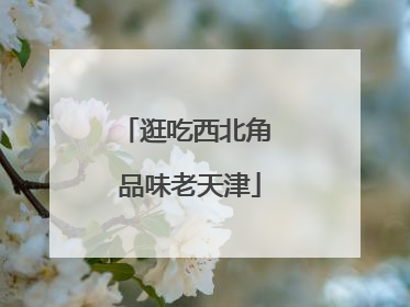 逛吃西北角 品味老天津