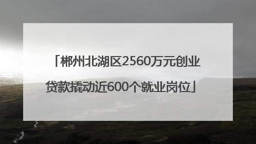 郴州北湖区2560万元创业贷款撬动近600个就业岗位