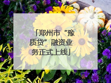 郑州市“豫质贷”融资业务正式上线