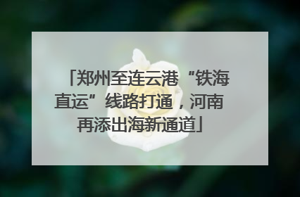 郑州至连云港“铁海直运”线路打通，河南再添出海新通道