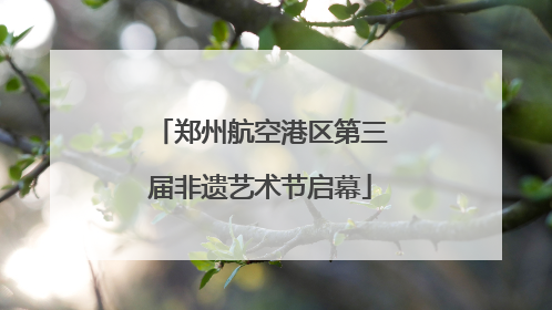 郑州航空港区第三届非遗艺术节启幕