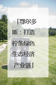 鄂尔多斯：打造柠条绿色生态经济产业链