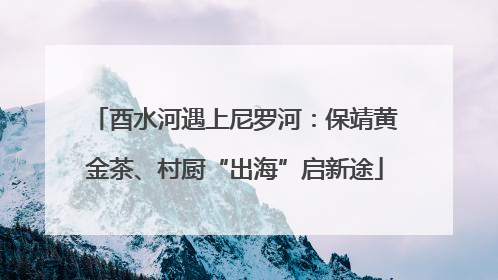 酉水河遇上尼罗河：保靖黄金茶、村厨“出海”启新途