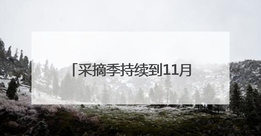 采摘季持续到11月，谷城县庙滩镇邓家湾村的蜜桃丰收啦！