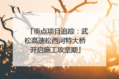 重点项目追踪：武松高速松西河特大桥开启施工攻坚期