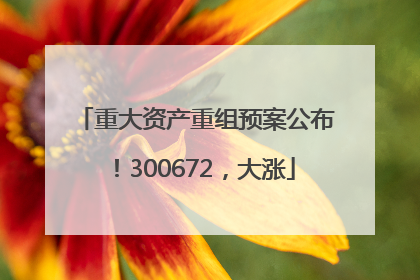 重大资产重组预案公布！300672，大涨