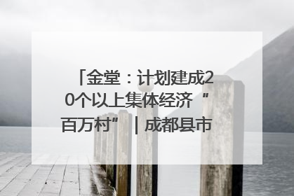 金堂：计划建成20个以上集体经济“百万村”｜成都县市新城高质量发展