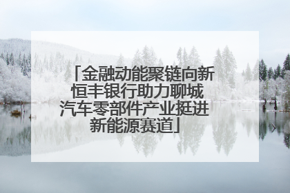 金融动能聚链向新 恒丰银行助力聊城汽车零部件产业挺进新能源赛道
