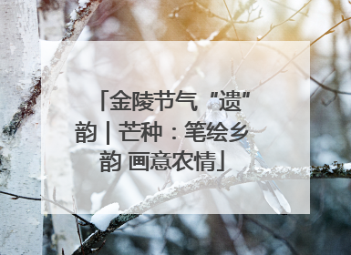 金陵节气“遗”韵｜芒种：笔绘乡韵 画意农情