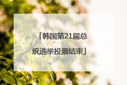 韩国第21届总统选举投票结束