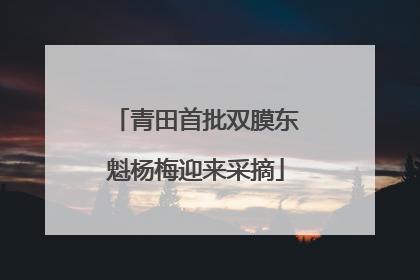 青田首批双膜东魁杨梅迎来采摘