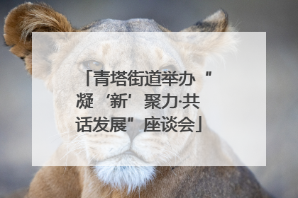 青塔街道举办“凝‘新’聚力·共话发展”座谈会