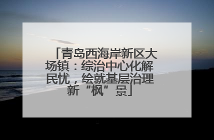 青岛西海岸新区大场镇：综治中心化解民忧，绘就基层治理新“枫”景