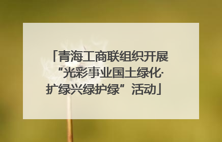 青海工商联组织开展“光彩事业国土绿化·扩绿兴绿护绿”活动